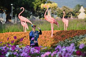BIB: 
                            <button type="button" onclick="openModal(27798270)" class="btn btn-primary btn-sm float-right btn-popup" data-toggle="modal" data-target=".modal-high-quality">
                        <i class="fas fa-shopping-cart"></i> Add to Cart
                    </button>
                                            <button type="button" onclick="isThisMe(27798270, true)" class="btn btn-success btn-sm float-right btn-popup btn-isme hidden" data-toggle="tooltip" data-placement="bottom" title="นี่คือรูปของคุณใช่ไหม คลิกที่นี่เพื่อเอาเข้าอัลบั้ม">
                        <i class="fas fa-plus"></i> Add to album
                    </button>
                    <button type="button" onclick="isThisMe(27798270, false)" class="btn btn-warning btn-sm float-right btn-popup btn-isnotme hidden">
                        <i class="fas fa-ban"></i> Remove from album
                    </button>
